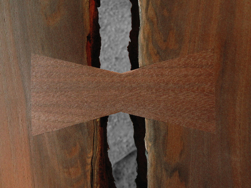 Walnut_butterfly